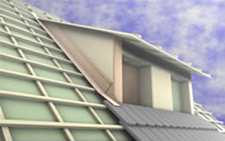 Site Image